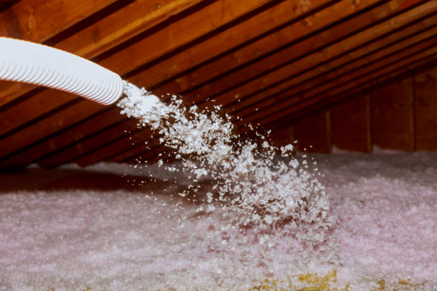 Best Residential Insulation in Rden City, GA