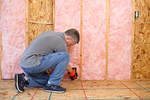 Best Insulation Maintenance and Repair in Rden City, GA